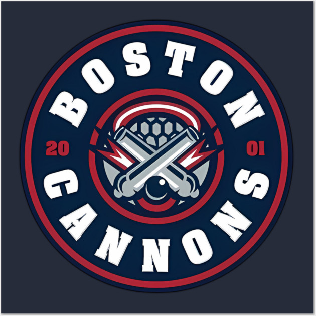 Boston Cannons lacrosse Wall Art by James Bates
