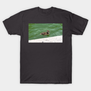 A Young Duckling Swimming T-Shirt