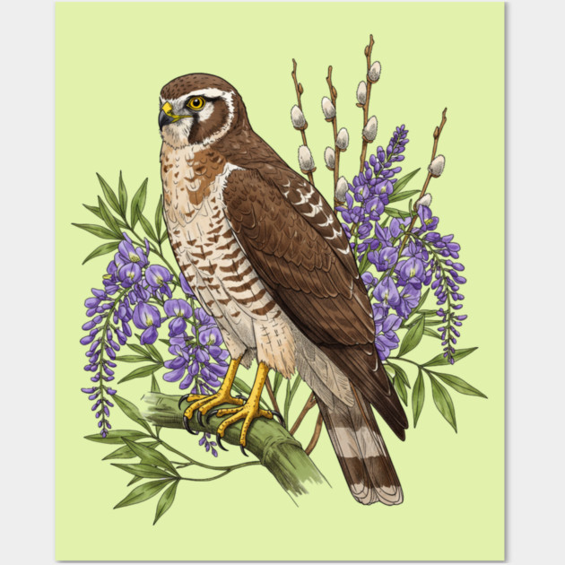 Vintage Northern Harrier Hawk Art Wall Art by BirdsnStuff