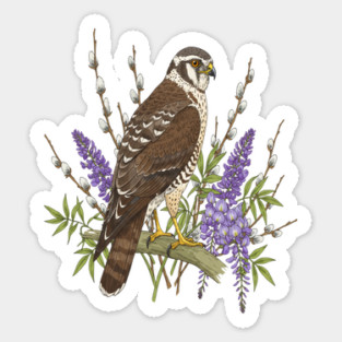 Northern Harrier Botanical Bird Sticker