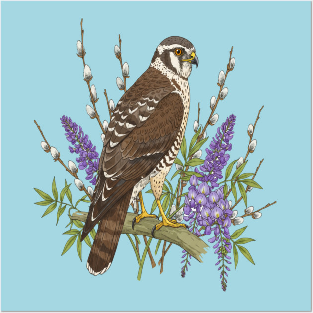 Northern Harrier Botanical Bird Wall Art by BirdsnStuff
