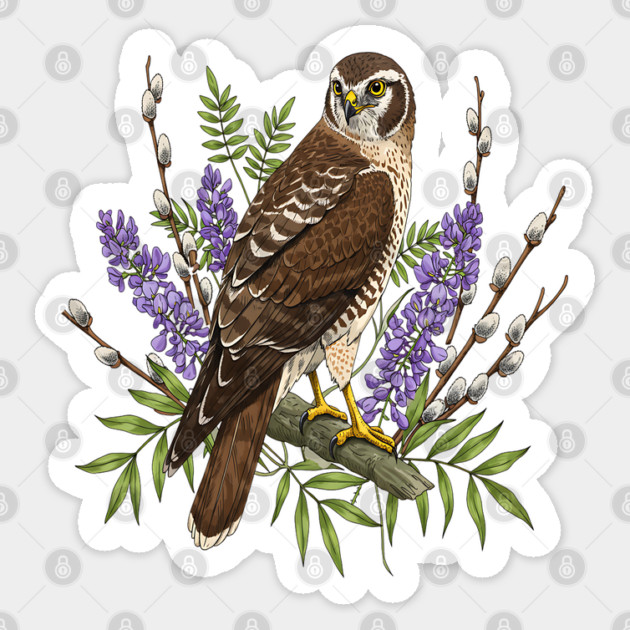 Northern Harrier Floral Perch Sticker by BirdsnStuff