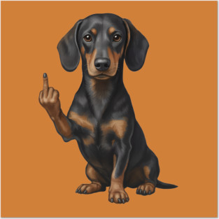 Dachshund Flipping The Bird Posters and Art