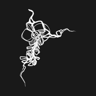 orchid abstract kinseyroehmtattoos T-Shirt