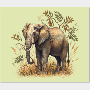 Vintage African Elephant Acacia Botanical Posters and Art