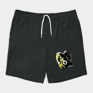 Los Angeles Rams - Football Shorts