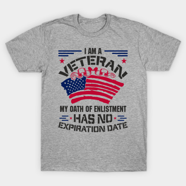 Veteran Oath of Enlistment USA Military Pride T-Shirt by Anticorporati