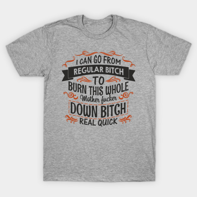 Regular Bitch To Wild Temper Drama Queen T-Shirt by Anticorporati