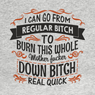 Regular Bitch To Wild Temper Drama Queen T-Shirt