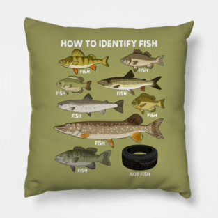 How to Indetify Fish Pillow