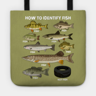 How to Indetify Fish Tote