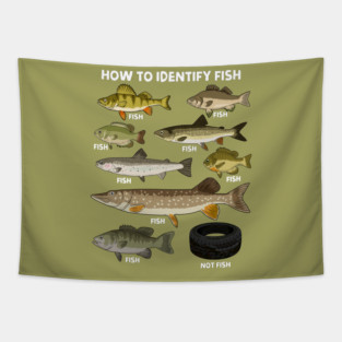 How to Indetify Fish Tapestry
