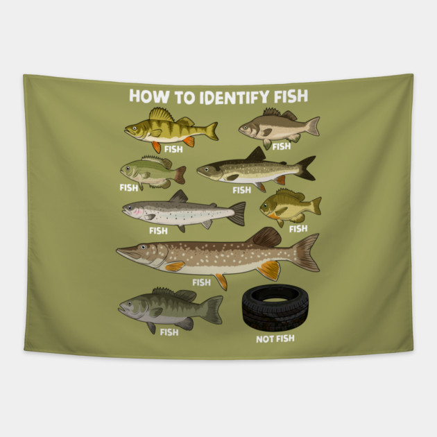 How to Indetify Fish Tapestry by GoshWow®