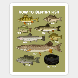 How to Indetify Fish Magnet