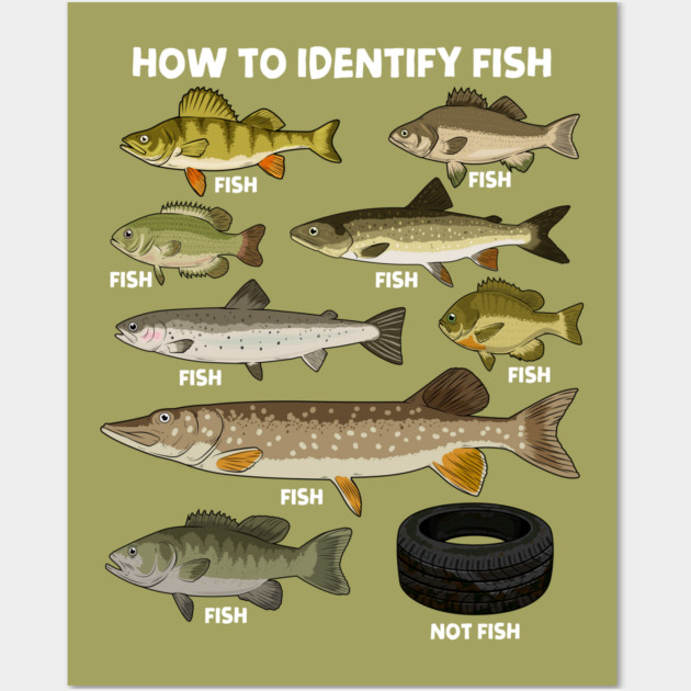 How to Indetify Fish Wall Art by GoshWow®