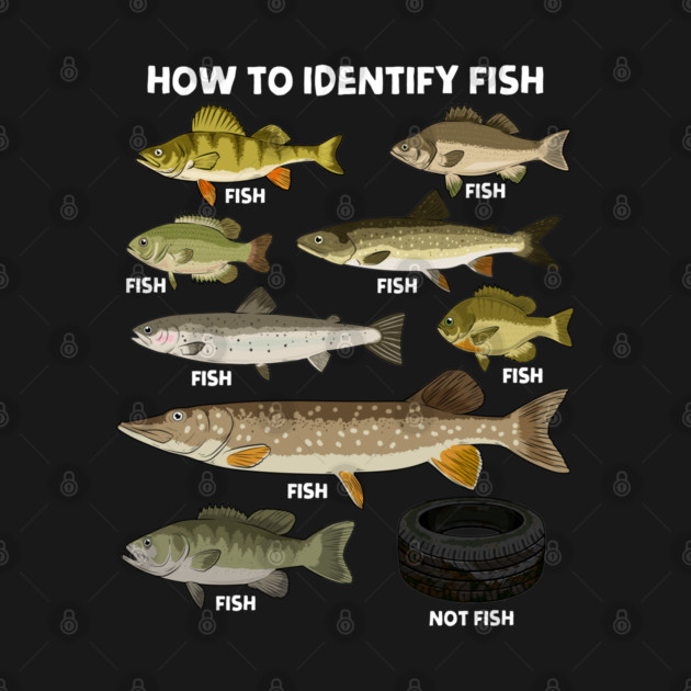 How to Indetify Fish by GoshWow®