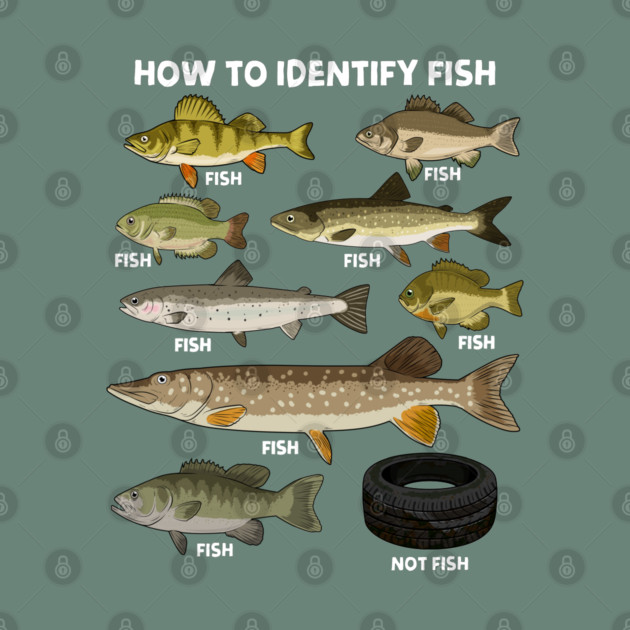 How to Indetify Fish by GoshWow®