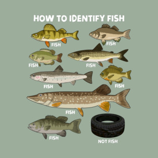 How to Indetify Fish T-Shirt