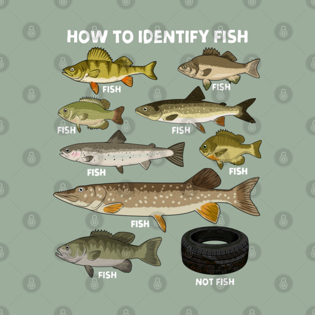 How to Indetify Fish by GoshWow®