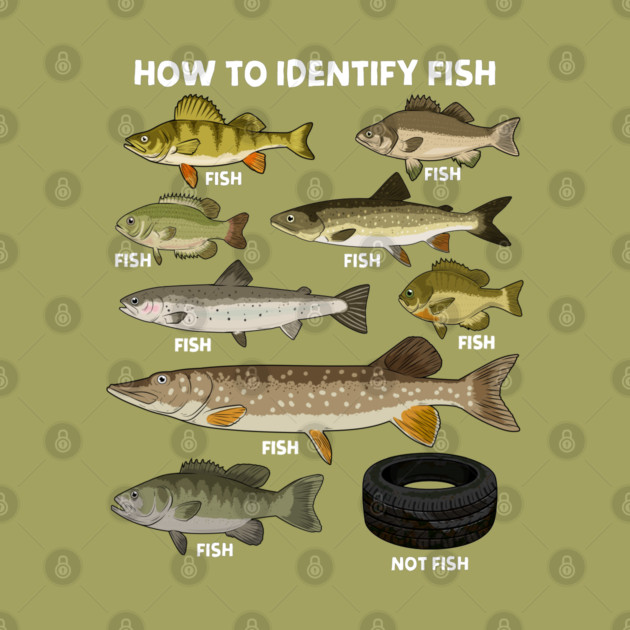 How to Indetify Fish by GoshWow®