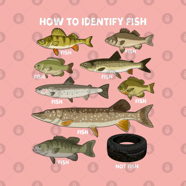 How to Indetify Fish by GoshWow®