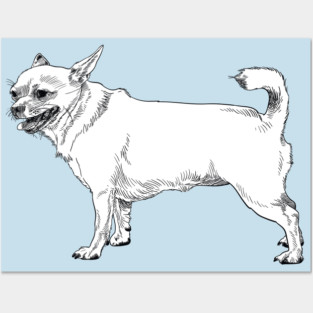 Chihuahua Posters and Art