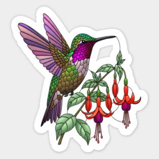 Anna's Hummingbird Fuchsia Aesthetic Sticker