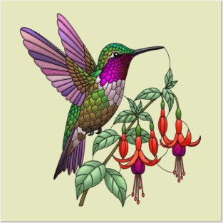 Anna's Hummingbird Fuchsia Aesthetic Posters and Art