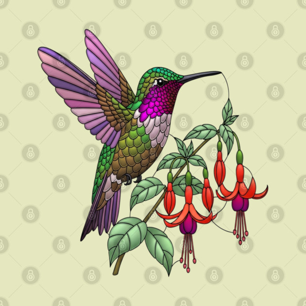 Anna's Hummingbird Fuchsia Aesthetic by BirdsnStuff