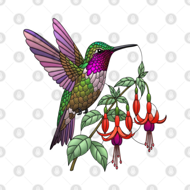 Anna's Hummingbird Fuchsia Aesthetic by BirdsnStuff