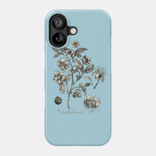 Botanical Illustration_Tea Plant. Phone Case