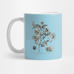 Botanical Illustration_Tea Plant. Mug