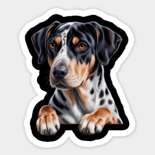 Catahoula Leopard Dog Cute Funny Peeking Puppy Sticker