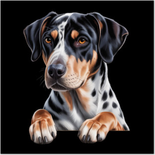 Catahoula Leopard Dog Cute Funny Peeking Puppy Posters and Art