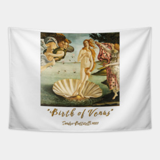 Birth of Venus by Botticelli, Classic Art, Feminine Tapestry