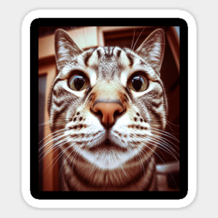 Cat Stare Tee - Close Encounter Feline Design. cat shirt funny feline design pet humor apparel whiskers gift animal lover tee Sticker