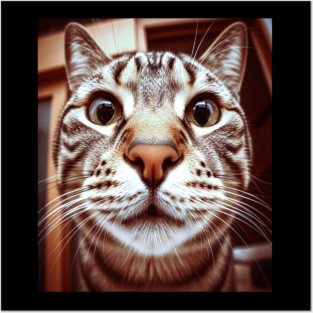 Cat Stare Tee - Close Encounter Feline Design. cat shirt funny feline design pet humor apparel whiskers gift animal lover tee Posters and Art