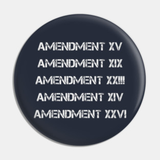 Enshrined Voting Rights Pin