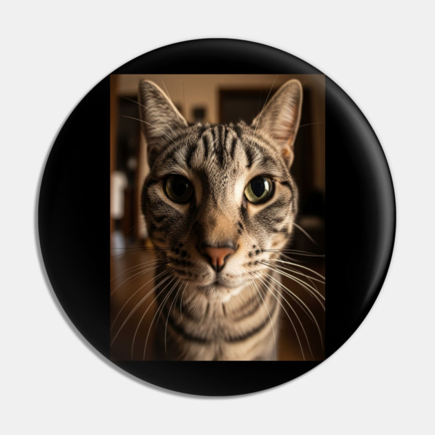 Judgmental Cat Tee - Tabby Stare Down Design. cat shirt funny tabby design judgmental humor pet apparel whiskers gift Pin by OUTFITPAW