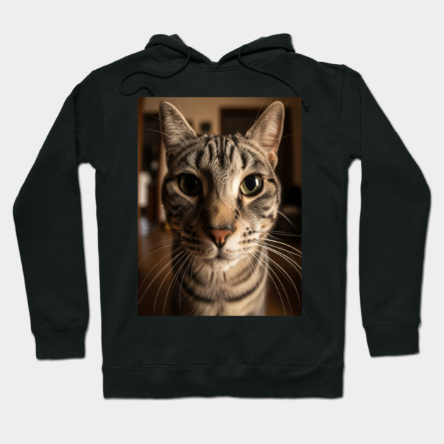 Judgmental Cat Tee - Tabby Stare Down Design. cat shirt funny tabby design judgmental humor pet apparel whiskers gift Hoodie by OUTFITPAW