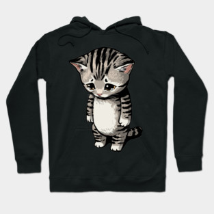 Sad Cat Meme Hoodie