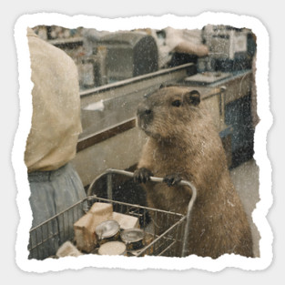 Vintage Capybara Grocery Shopping Art for Animal Lovers Magnet