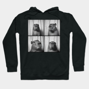 Capybara Capy Photobooth Picture Quirky Funny Hoodie