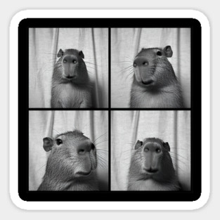 Capybara Capy Photobooth Picture Quirky Funny Sticker