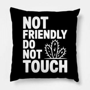 Not Friendly Do Not Touch Pillow