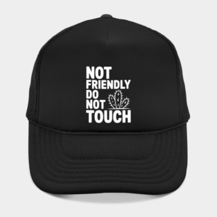 Not Friendly Do Not Touch Hat