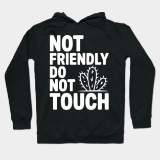 Not Friendly Do Not Touch Hoodie