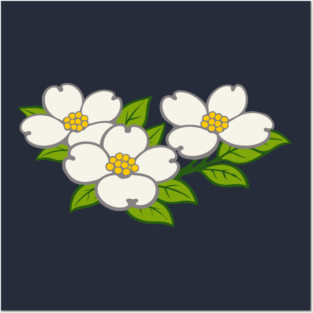 White Dogwood Flowers – Southern Spring Botanical Art Posters and Art