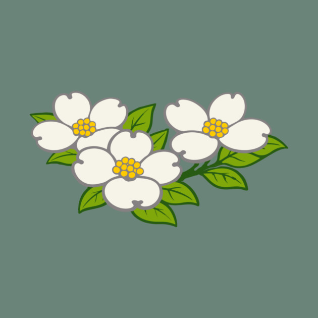 White Dogwood Flowers – Southern Spring Botanical Art by DonWillisJrArt