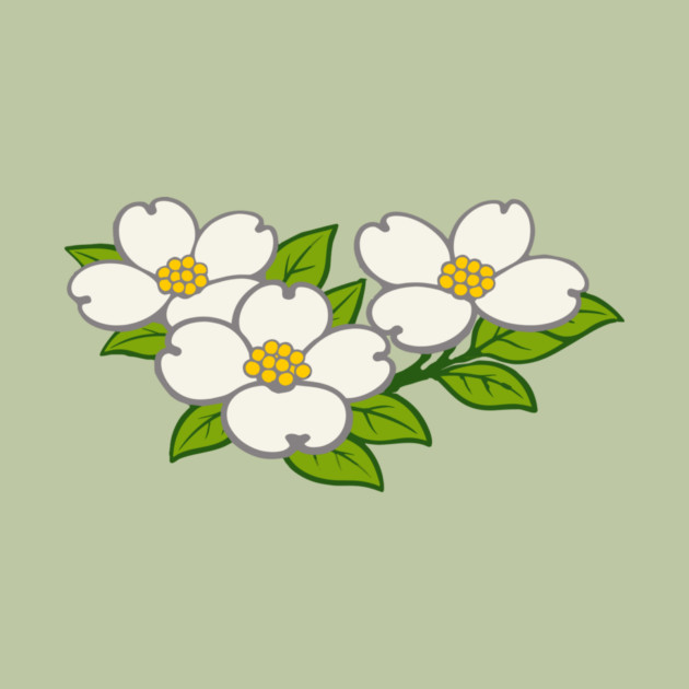White Dogwood Flowers – Southern Spring Botanical Art by DonWillisJrArt